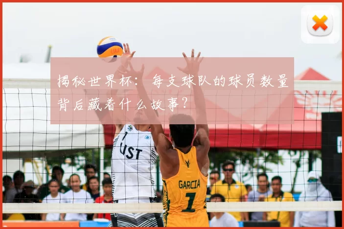 揭秘世界杯:每支球队的球员数量背后藏着什么故事?