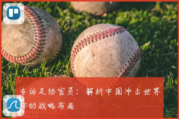 专访足协官员:解析中国冲击世界杯的战略布局