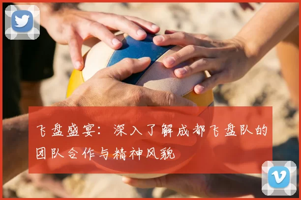飞盘盛宴:深入了解成都飞盘队的团队合作与精神风貌