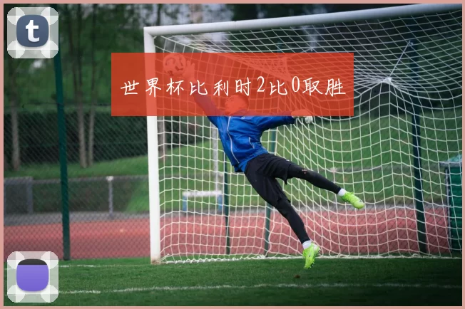 世界杯比利时2比0取胜