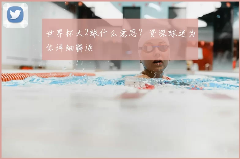 世界杯大2球什么意思?资深球迷为你详细解读