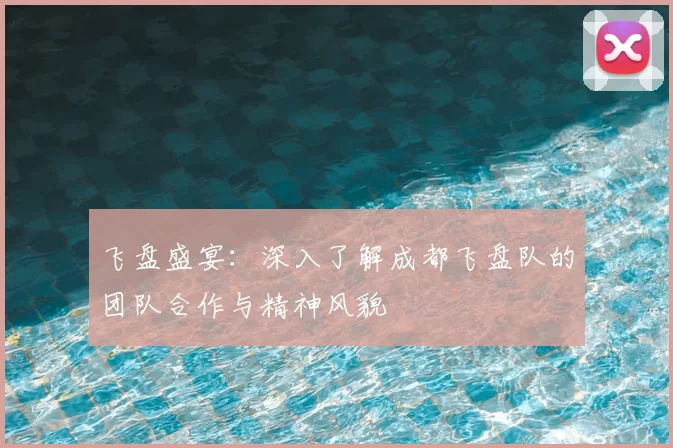 飞盘盛宴:深入了解成都飞盘队的团队合作与精神风貌