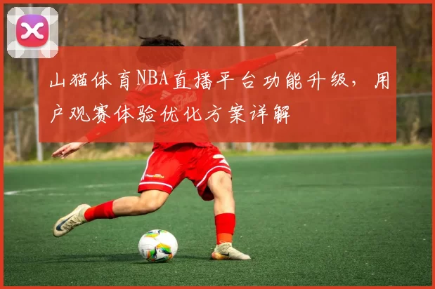 山猫体育NBA直播平台功能升级，用户观赛体验优化方案详解