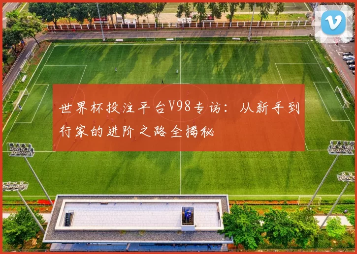 世界杯投注平台V98专访：从新手到行家的进阶之路全揭秘