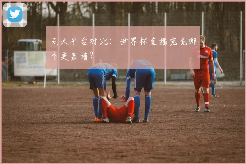 五大平台对比:世界杯直播究竟哪个更靠谱?