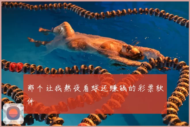 那个让我熬夜看球还赚钱的彩票软件