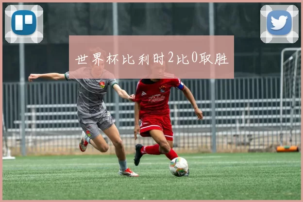 世界杯比利时2比0取胜