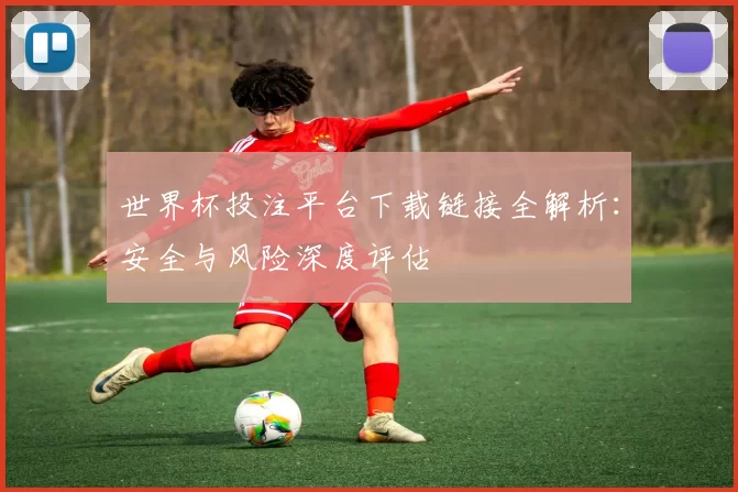 世界杯投注平台下载链接全解析:安全与风险深度评估