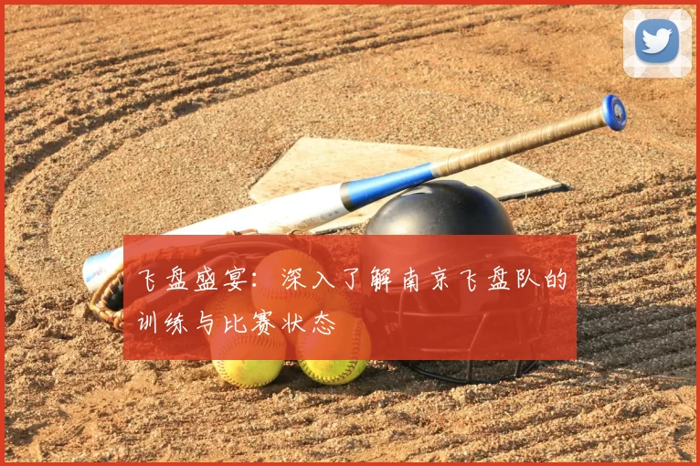 飞盘盛宴:深入了解南京飞盘队的训练与比赛状态