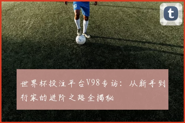 世界杯投注平台V98专访:从新手到行家的进阶之路全揭秘